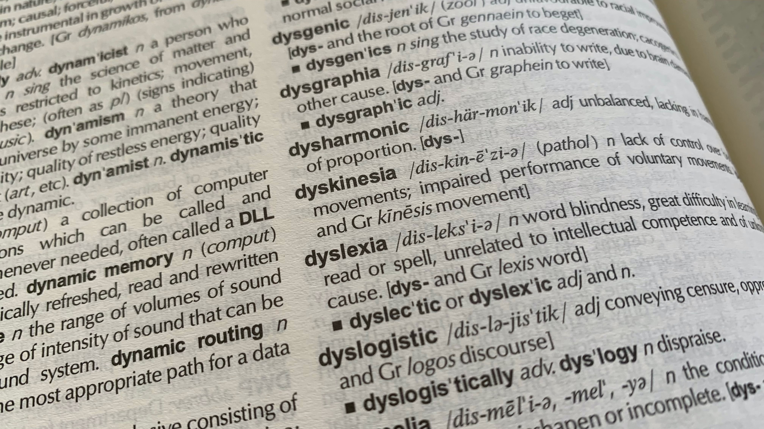 Understanding Dyslexia, Dysgraphia, Dyscalculia and Dsypraxia. A dictionary with the words